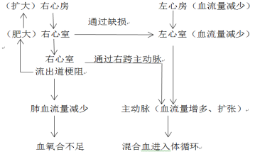 小儿先天性心脏病相关考点解析