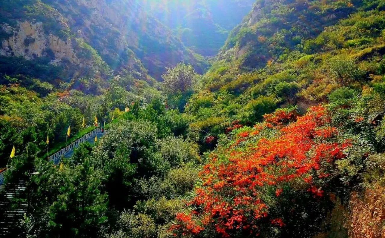 要做就做最美景区!文明城市下花园!秋季旅游新