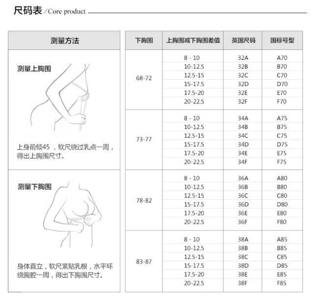 内衣表格_个人简历表格