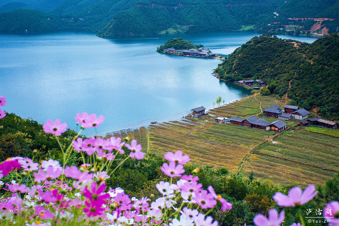 在丽江,在泸沽湖畔,和喜欢的人伴着威风静静地发发呆