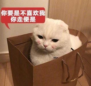 猜成语 孙悟空是什么成语_疯狂猜成语孙悟空攻略秘籍 疯狂猜成语孙悟空完全攻(3)