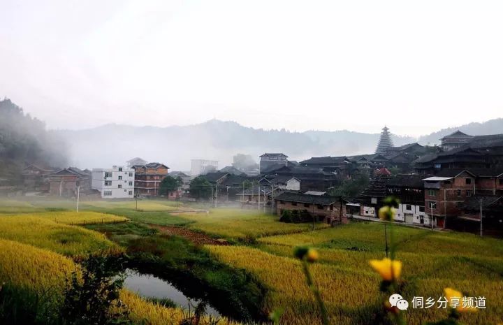 说三江|11月4日,相约神秘古村高秀红薯节,不见不散