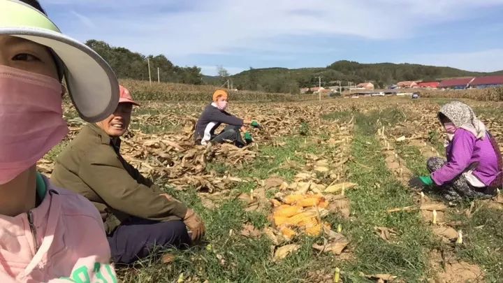 【十九大时光】庄河这个村子里发现了个"宝"