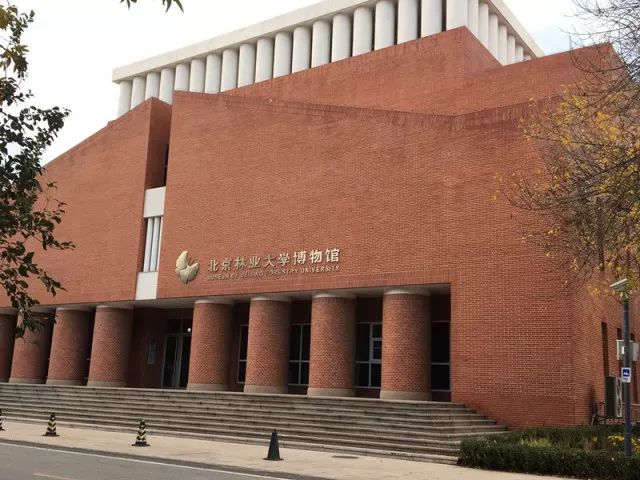 旅游 正文  北京林业大学图书馆是全国首批实施"211工程"的重点院校