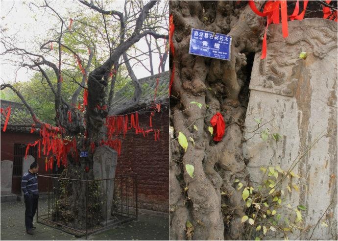 嘉祥县嘉祥青山寺,位于纸坊镇青山风景区内始地又宏农陕县(今河南陕县