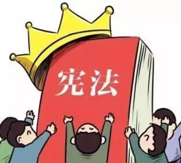 金井镇开展"学宪法,讲宪法"主题教育活动