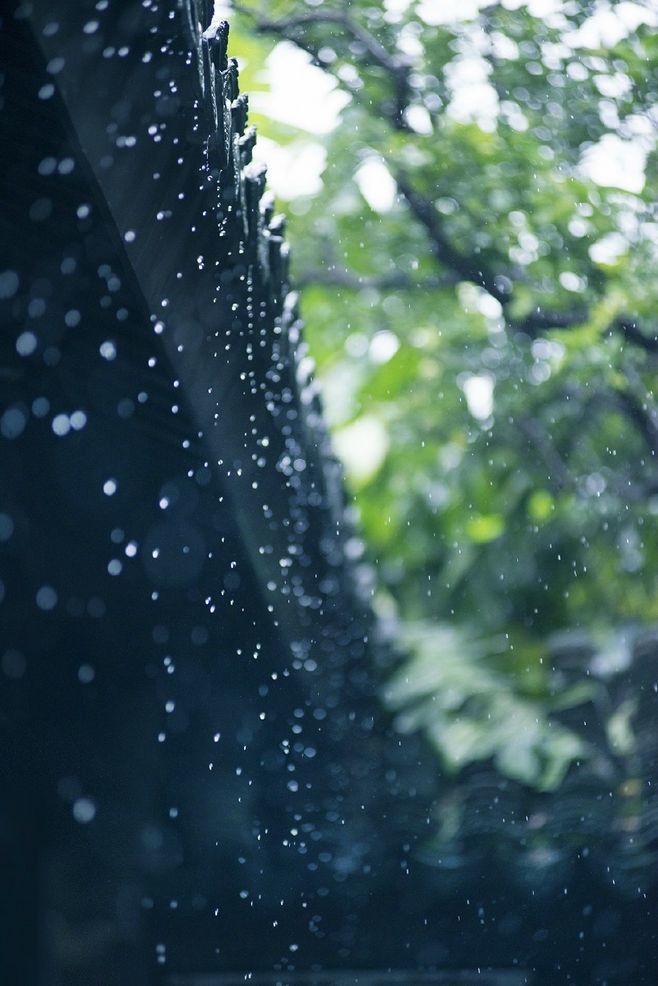 一个人置身无人的街巷,借着天空肆意飘洒的雨做遮蔽,为命运里所有的