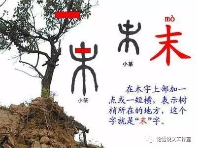 指事字和象形字都是独体字,而合体字则是在会意,形声这两种造字法出现