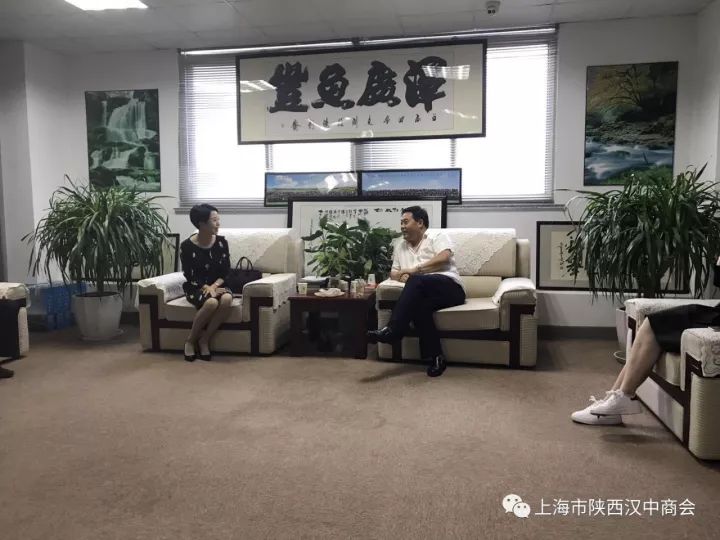 商会汇聚汉商力量共促家乡发展洋县领导走访上海汉中商会