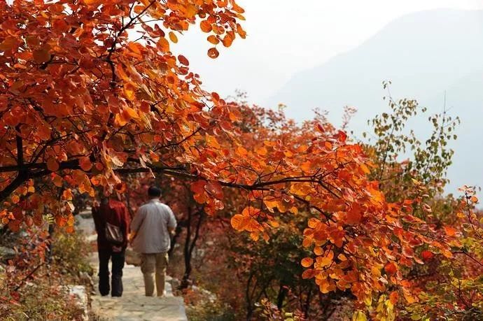 21,房山区—坡峰岭旅游风景区