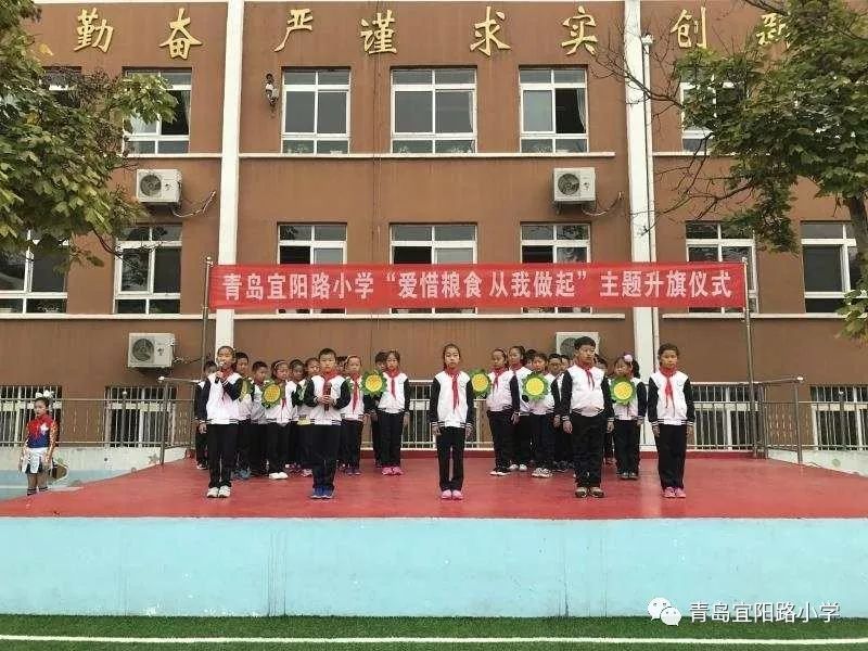 【宜阳队旗飘飘】青岛宜阳路小学