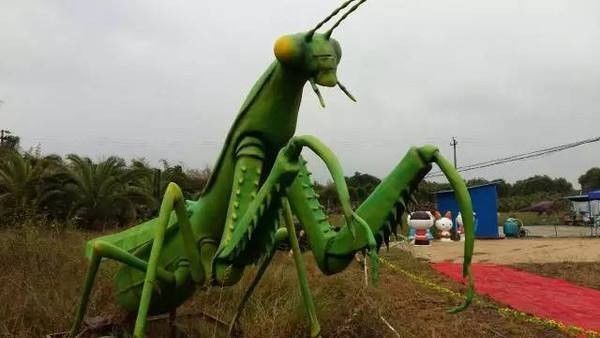 旅游 正文  一大波怪物向你奔袭而来,巨型螳螂,毛毛虫,大蝴蝶,大青蛙