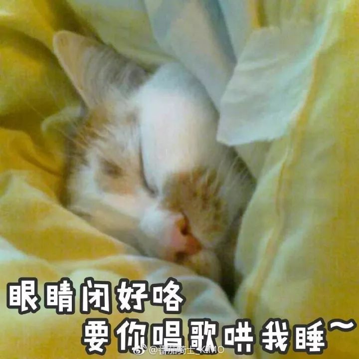 你的表情包楼楼猫真的回喵星球了!挥泪告别!