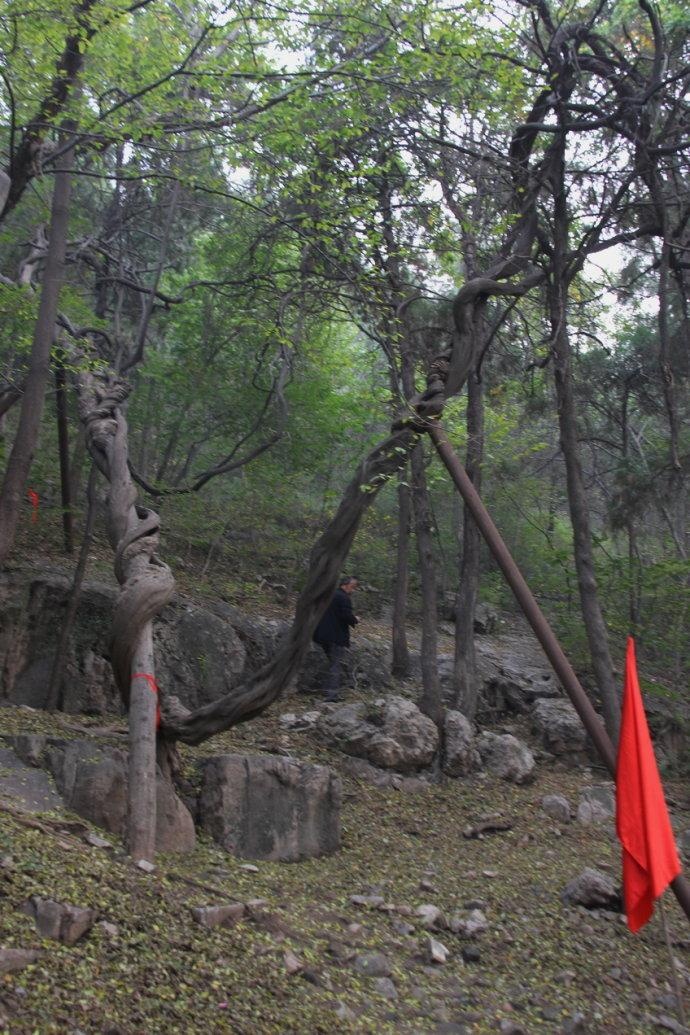 嘉祥县嘉祥青山寺,位于纸坊镇青山风景区内始地又宏农陕县(今河南陕县