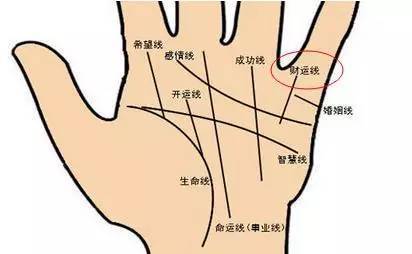 对于财运线的位置而言实在手掌无名指下方出现了竖向的手纹可以称之