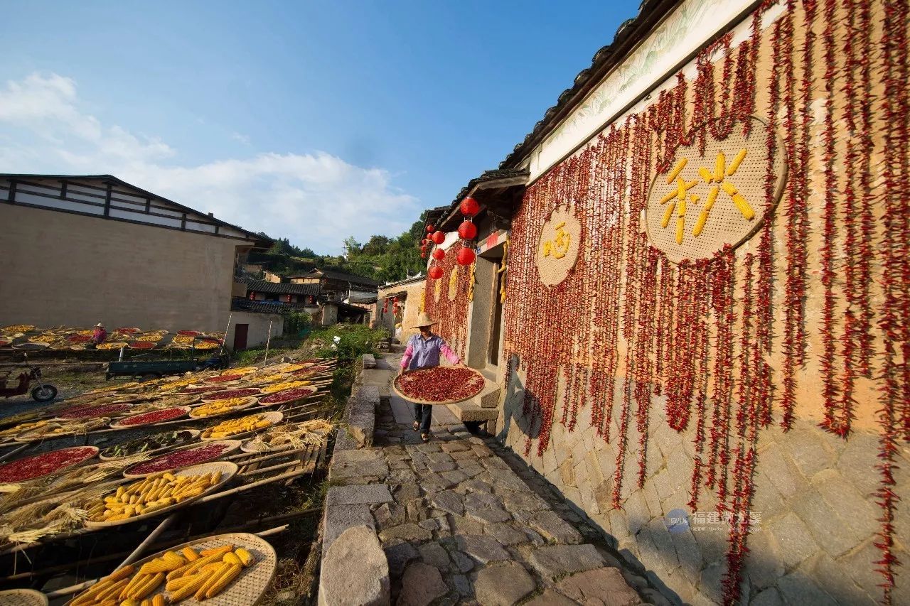 不用去婺源,在厦门周边也能欣赏晒秋美景,错过你得再等一年.