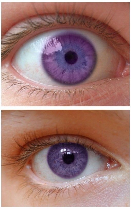 世界上竟然有这么美的天然紫色瞳孔,真是人比人气死人!