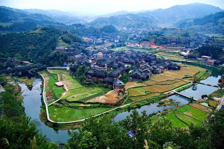 州南国花园 广州南国花园 南国花园小学 小南国集团