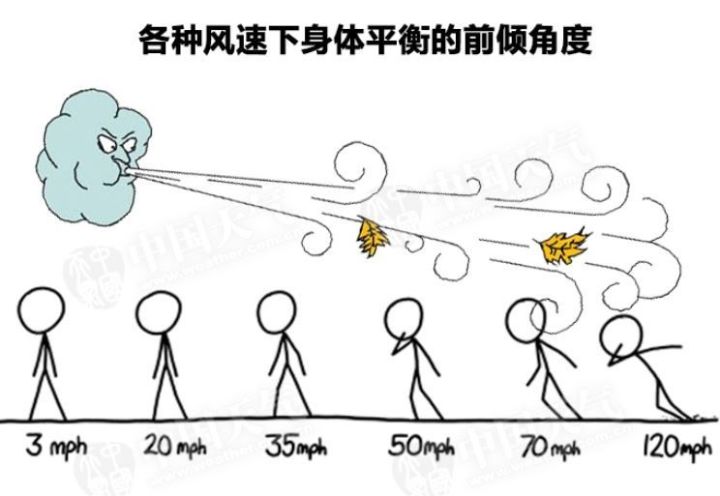 明天将有强风暴雨 秋季风暴连环袭大温 抓牢了别被吹