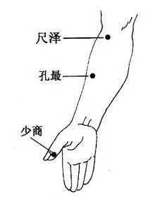 灸会人口_艾灸百会图片