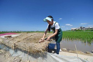 浠水县多少人口_浠水县百度图(3)