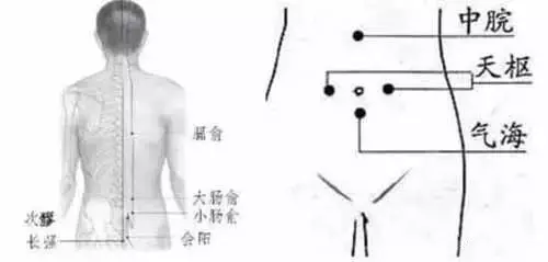 小肠俞就在骨棘肌起始和臀大肌起始之间的位置, 气海就位于我们肚脐眼