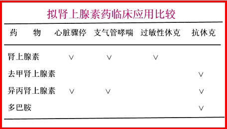 药理学丨作用于肾上腺素受体的药物