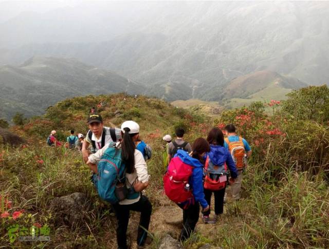 登山后膝盖疼怎么办