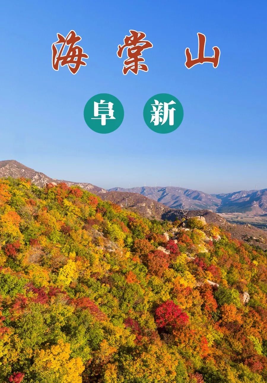 辽宁赏枫进行时|阜新海棠山