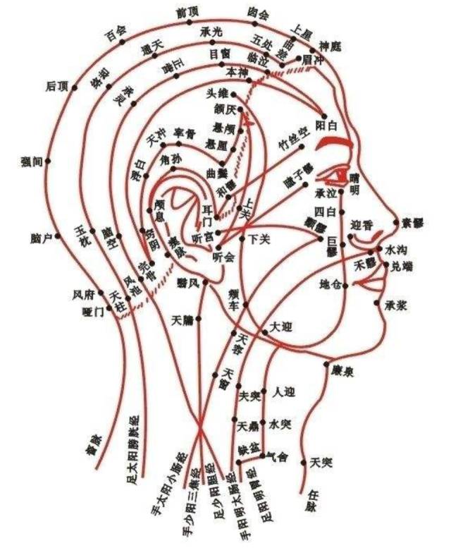 头面部有督脉,足阳明胃经,足少阳胆经,足太阳膀胱经,足厥