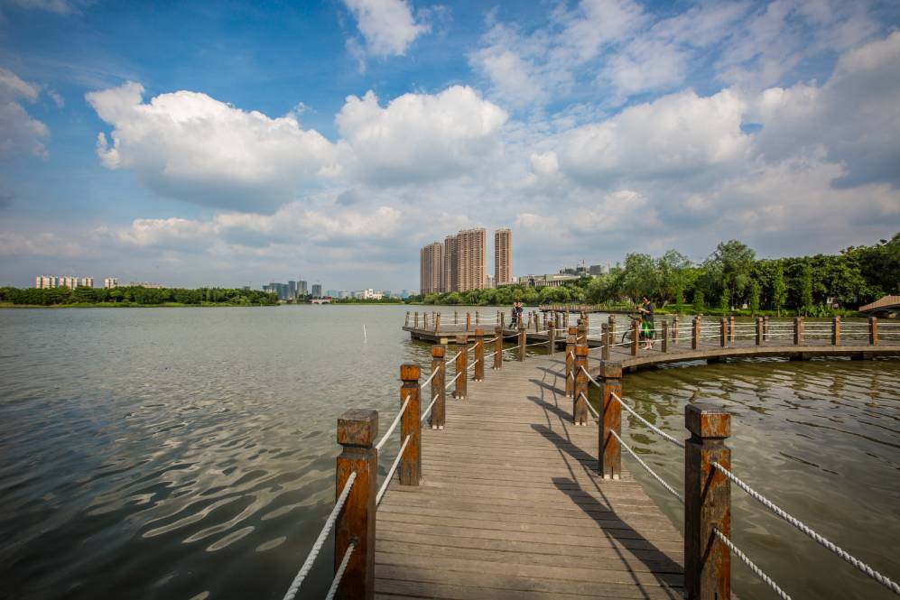 绿岛湖湿地公园一景/陈憧炜摄