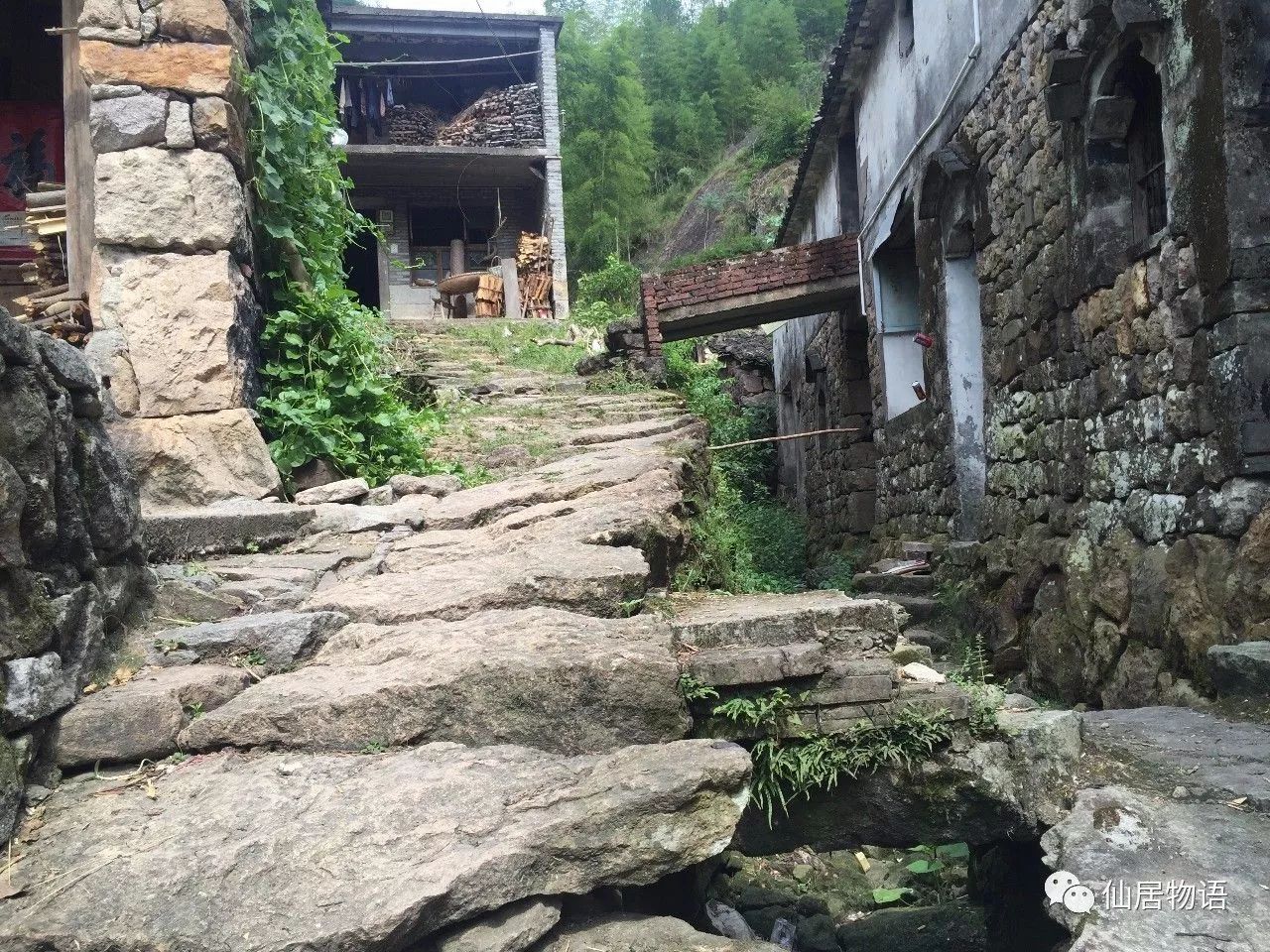 仙居古村落利坑村