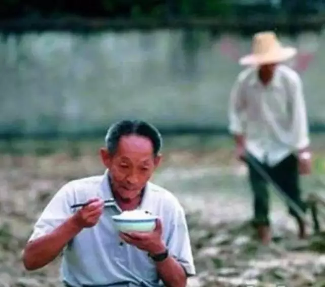 饥饿人口美国_美国人口分布图