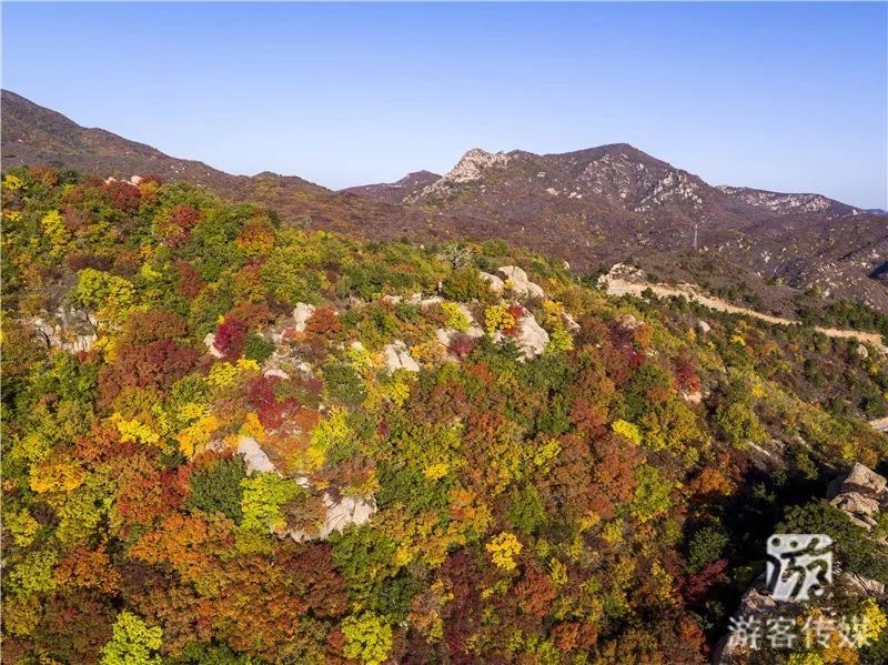 辽宁赏枫进行时阜新海棠山