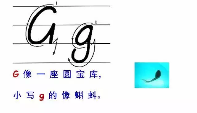 26个英文字母书写的规格+笔顺+技巧+音标,以及学好英语的18条黄金法则