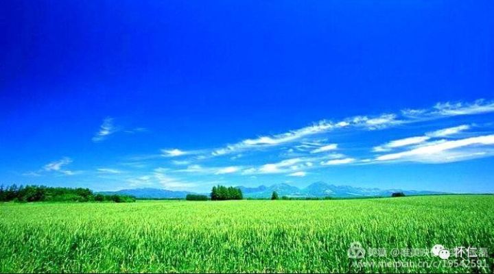 【乡韵纪实】怀仁有一个欣欣向荣,风景如画的美丽地方