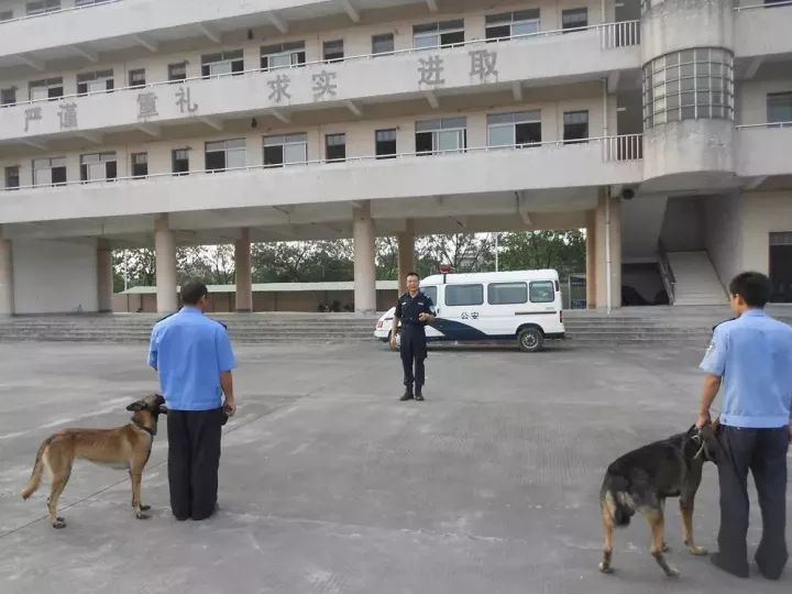 【忠诚·功模】道滘分局 曾庆银:警徽铸警魂 金盾映忠诚