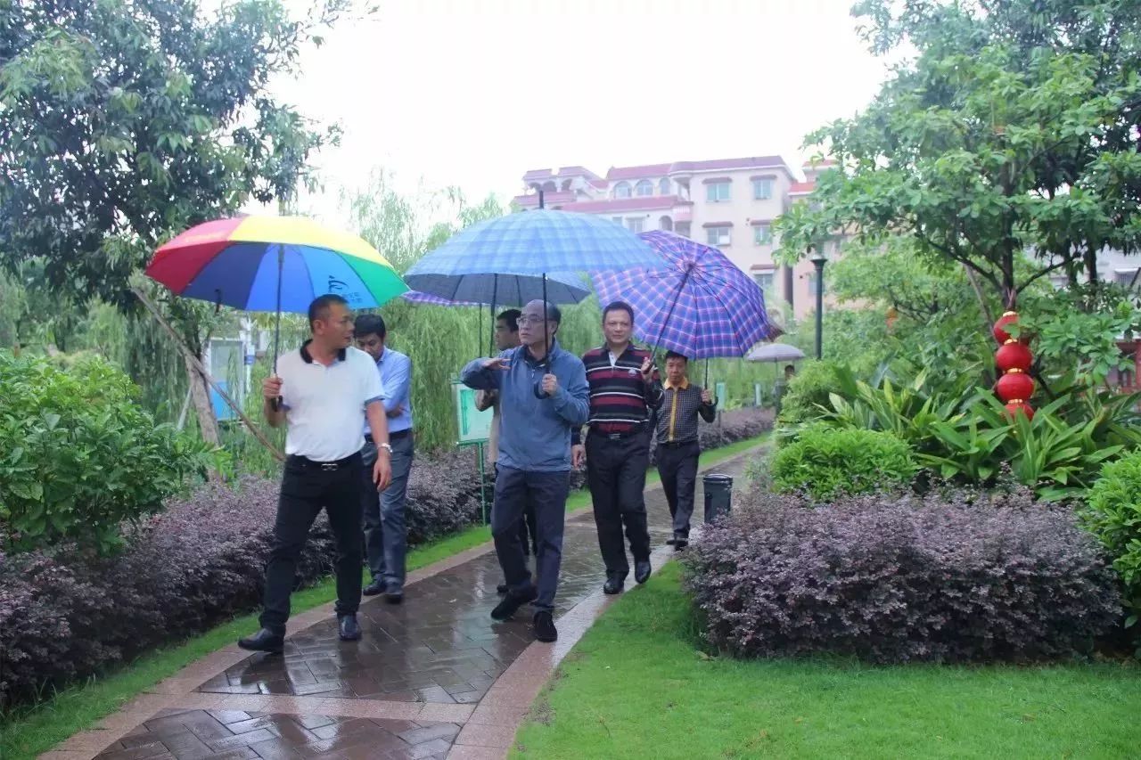 此时,天空下起小雨,一行人冒雨来到张槎街道大富村的富竹公园进行调研