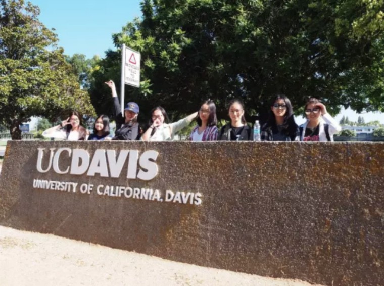 参加 uc davis 寒假学分课程