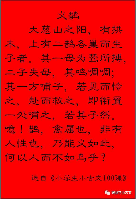 其一母为鸷所搏,二子失母,其鸣啁啁;其一方哺子,若见而怜之,赴而救之