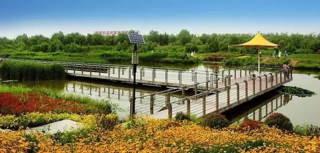 no17,灞桥生态湿地公园