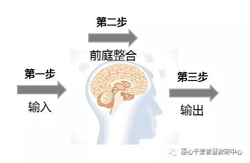 原创孩子聪明与否,还要看前庭好不好!