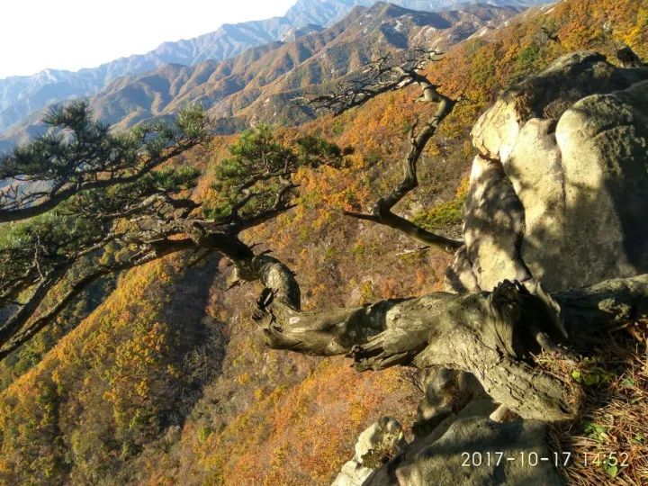 旅游 正文  老帽山位于瓦房店市万家岭镇帽山村,海拔848米,辽南第二