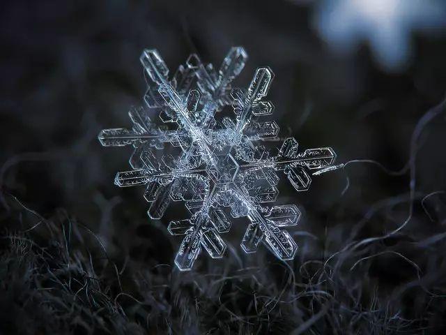 十二分支雪花