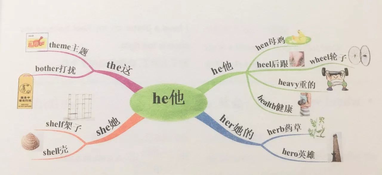 如何用思维导图记单词附40张示范图例