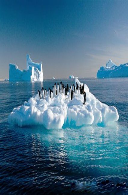 旅游  说起去南极旅行,很多人都觉得有点天方夜谭的意思,四周除了冰川