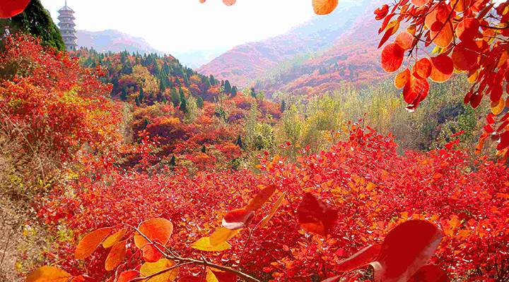 放过古观音禅寺!西安周边这7处适合秋游的美景,样样惊艳朋友圈!