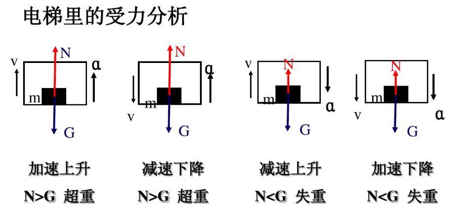 【牛顿定律】超重失重分析方法,附例题详解