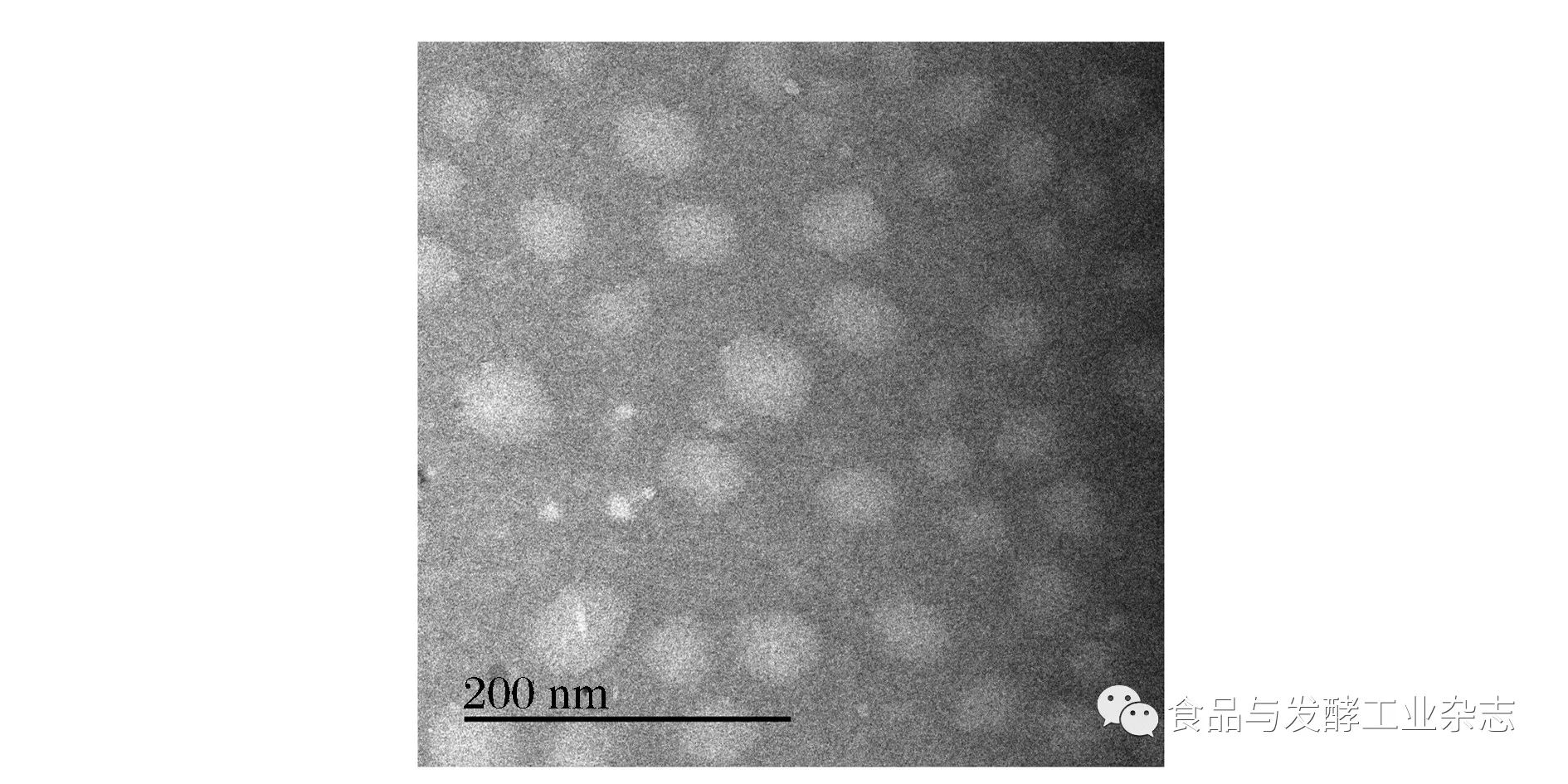 va纳米乳透射电镜照片 fig.