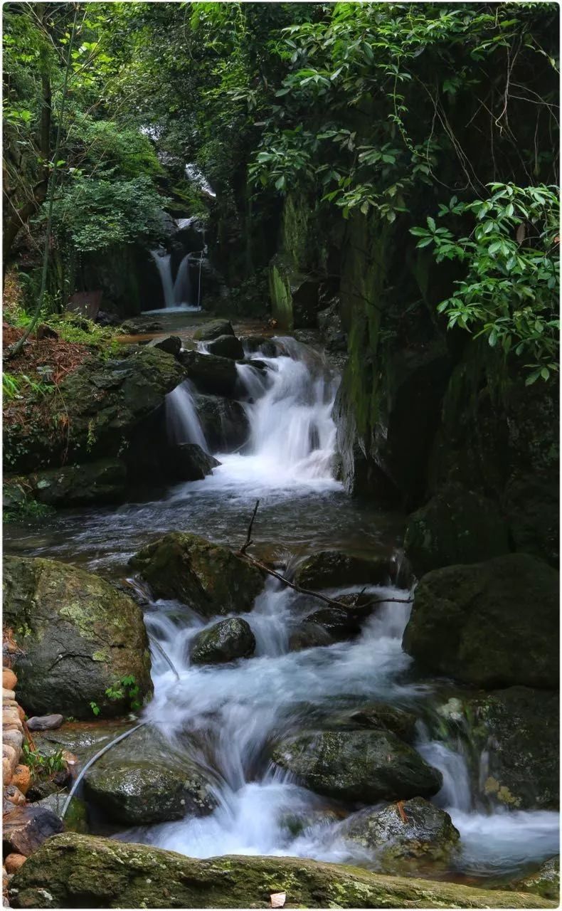 来自山顶的泉水自在落下,穿过石壁,竹林,遇到想留下的地方就积出两汪